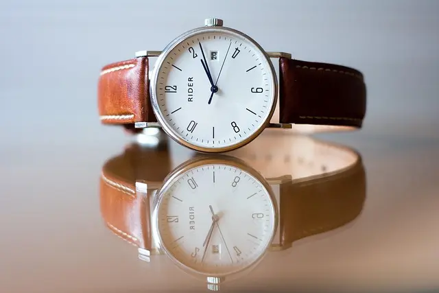 Les Montres de Luxe À Offrir : Choix Élégants et Pratiques