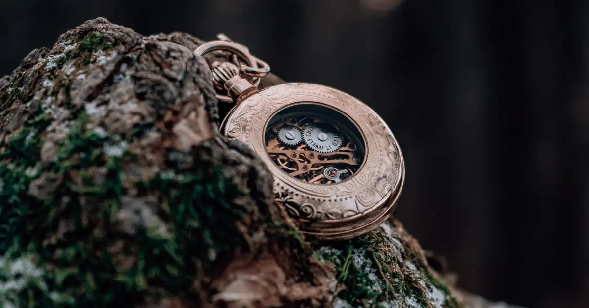 Les Montres de Luxe Écoresponsables : Un Avenir Durable