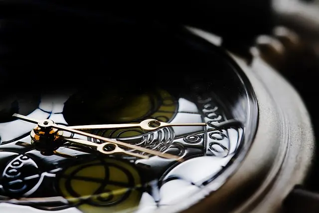 Les Montres de Luxe : Comment Évaluer Leur Valeur Réelle