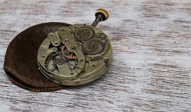 Les montres de luxe et l'impact des matériaux écoresponsables