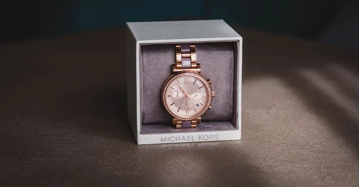 Les Meilleures Pratiques pour Entretenir Votre Montre de Luxe
