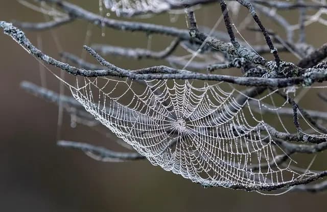 Les Complications Horlogères Incontournables à Connaître