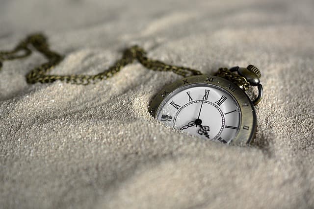 Les Montres de Luxe Squelette : Art et Mécanisme Dévoilés
